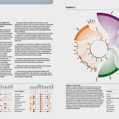 The art & science of foodpairing book