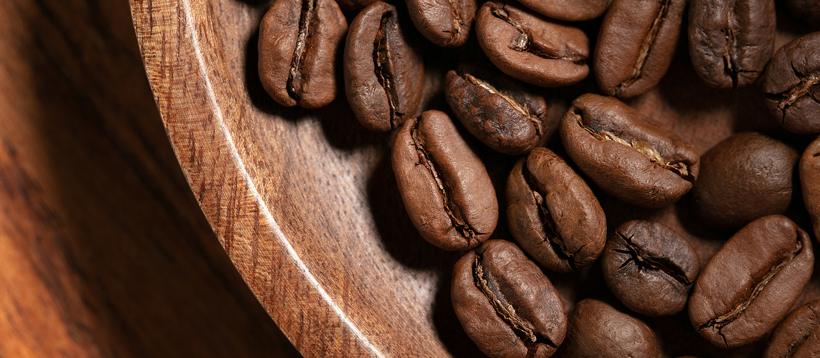 بهترین نوع قهوه عربیکا چیست؟